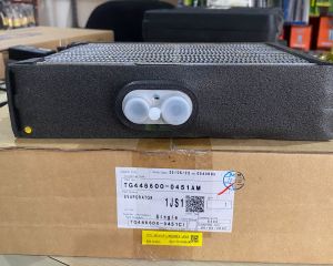 COIL ND-0451 AVANZA LAMA